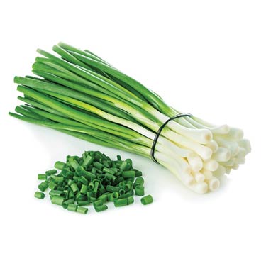 Cebollines / Scallions or Green Onions