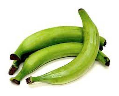 Plátanos Verdes / Green Plantains