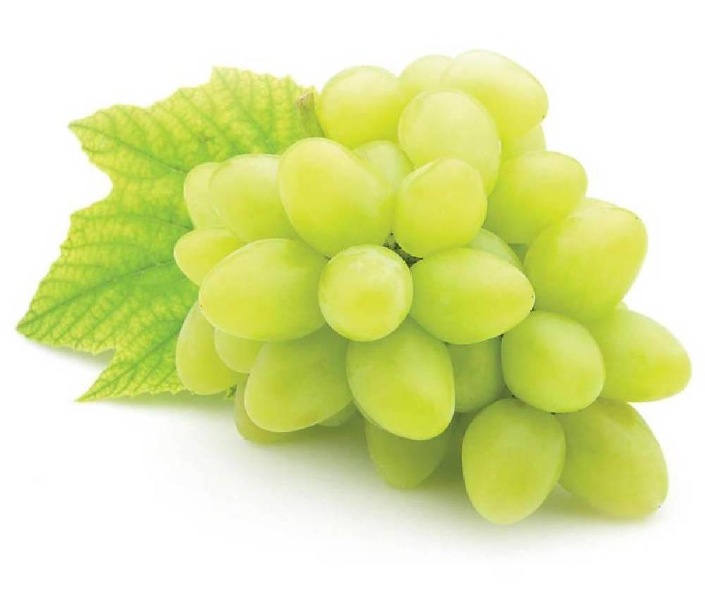 Green Seedless Grapes