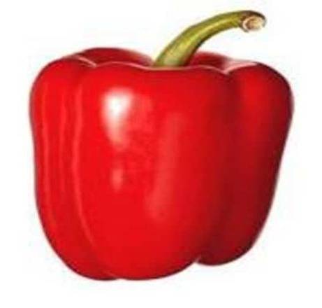 Pimiento Rojo / Red Pepper
